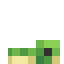 minecraft:baby_turtle